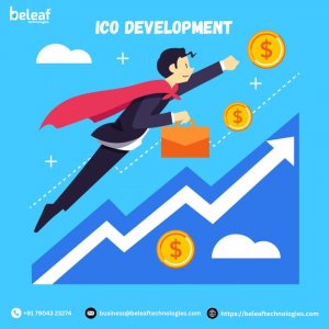 From Whitepaper to Wallet – We Build Winning ICOs!