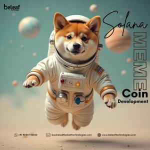 Build a Powerful Solana Meme Coin With Beleaf Technologies