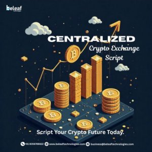 Top-Rated Centralized Crypto Exchange Script for Startups 