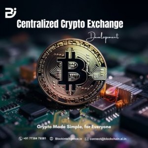 Top Rated Centralized Crypto Exchange Development company– Block Intelligence