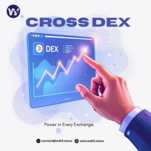 Best Cross Dex Development service - Web 5 nexus