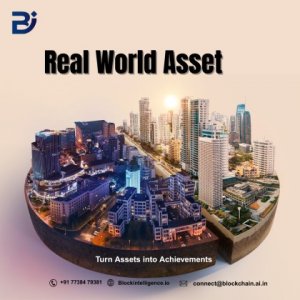 Best Real World Asset Development Service - Block Intelligence
