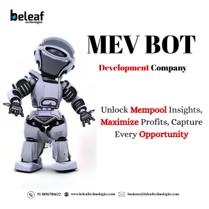 Professional MEV BOT Services with Continuous Monitoring and Expert Assistance