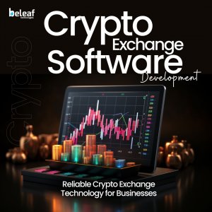 Customizable Crypto Exchange Systems for Businesses